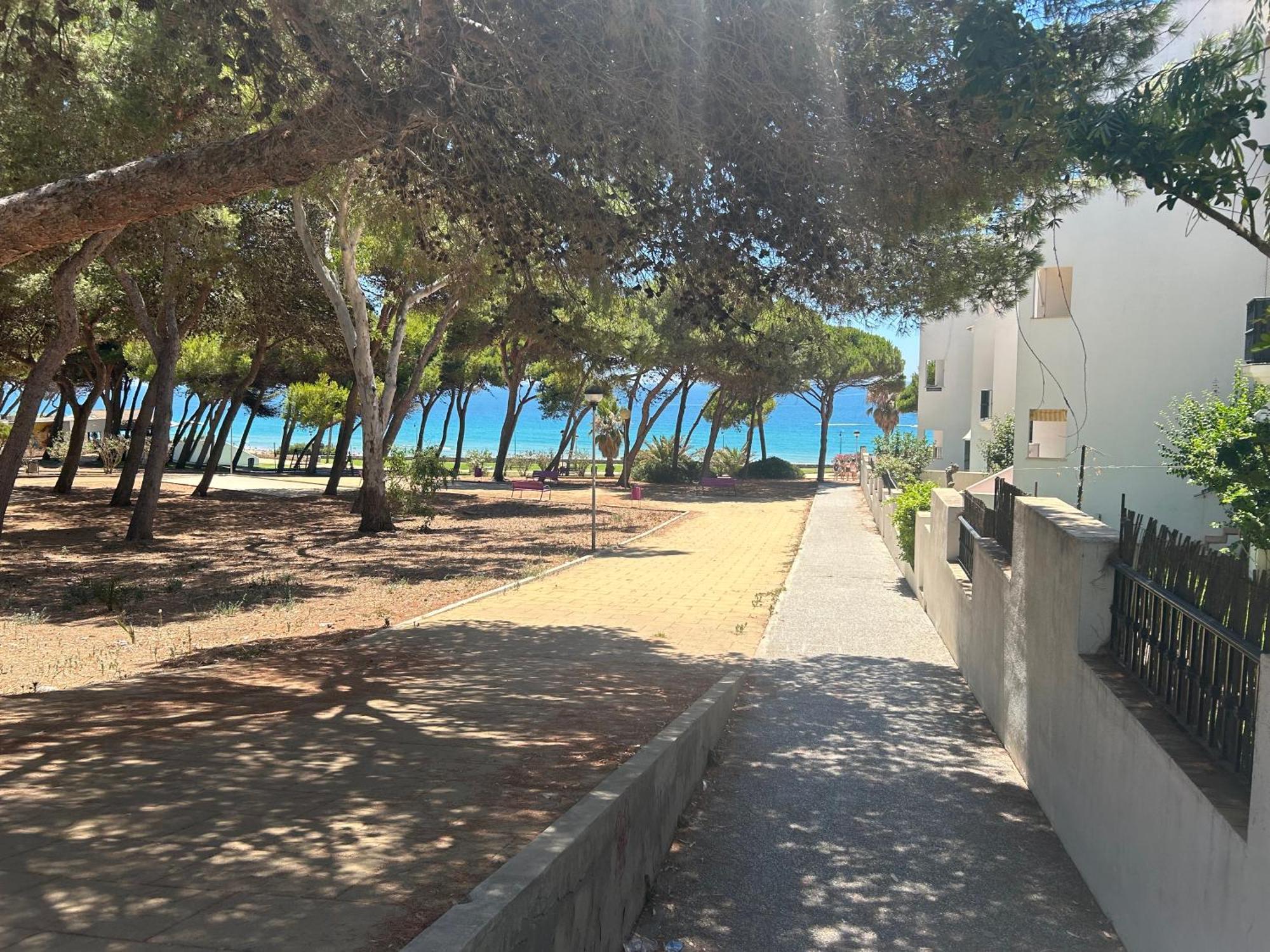 Apartamento La Fontanilla Conil De La Frontera Eksteriør billede