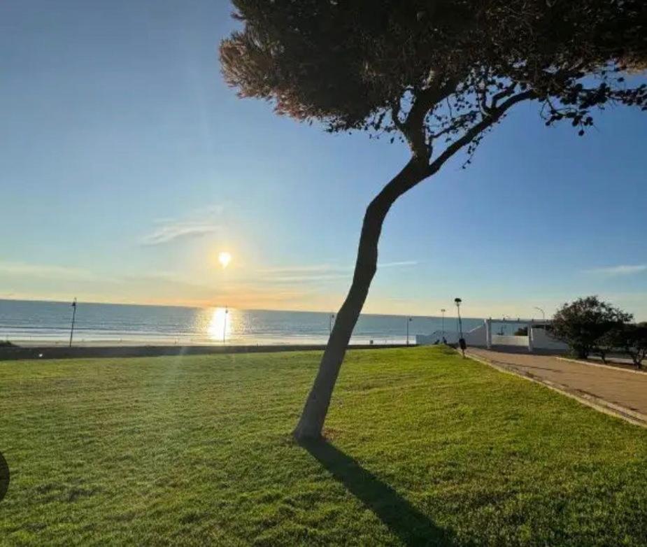 Apartamento La Fontanilla Conil De La Frontera Eksteriør billede